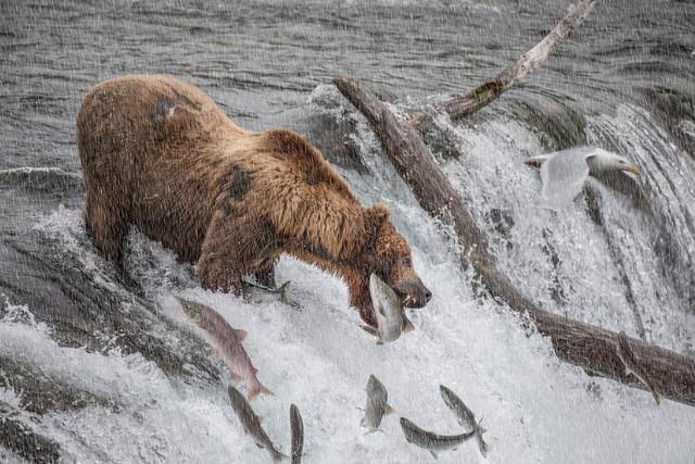 象谷迷踪（0丛林冒险）