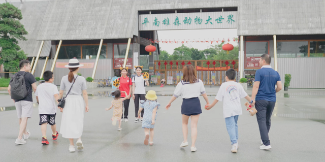 平南石硖龙眼甜蜜正当时！南雄北帝邀您奔赴一场“甜蜜”的邂逅！