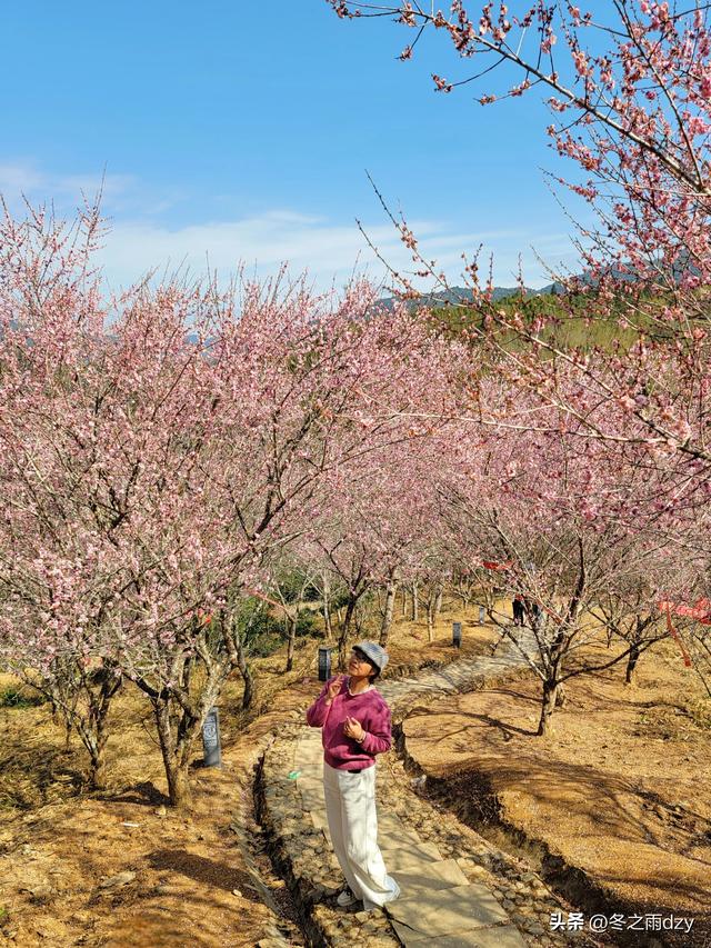 土楼拾光③:梅林古镇（2025.2.11 漳州·南靖）
