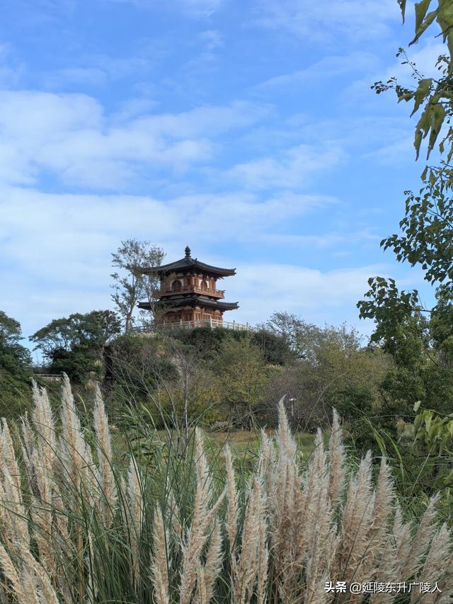 国庆假期来太湖边大有秋 远山近水丰收景 竺山书院福寿寺 蒋捷古墓