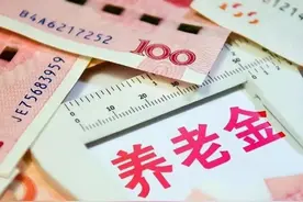 河北省灵活就业一年养老保险缴纳9408元，缴费20年退休能领多少？图片