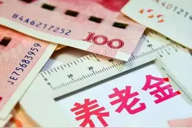 河北省灵活就业一年养老保险缴纳9408元，缴费20年退休能领多少？图片
