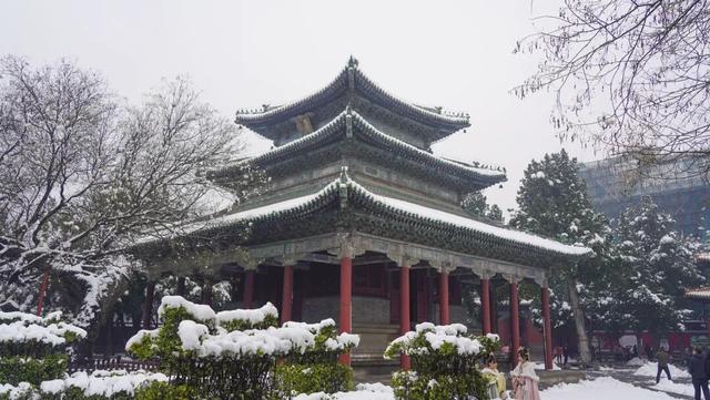 美出圈！春雪落正定，宛如童话世界