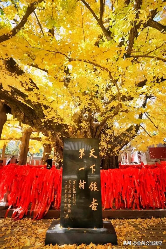 11月旅行：在山河秘境中，邂逅最本真的秋日浪漫