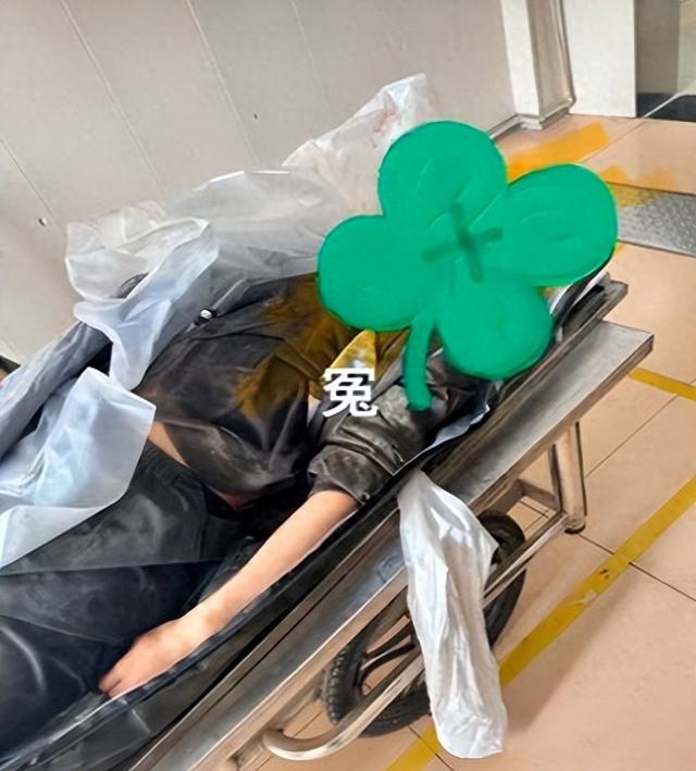 错付1010元后续！上海交通委介入，司机公司被扒，律师回应难定责