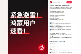 警惕平替APP有毒不要下，自己正版反被骂！鸿蒙版网易云做到了图片