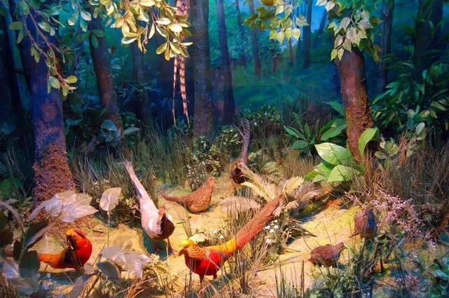 长春拟新增2家4A级景区