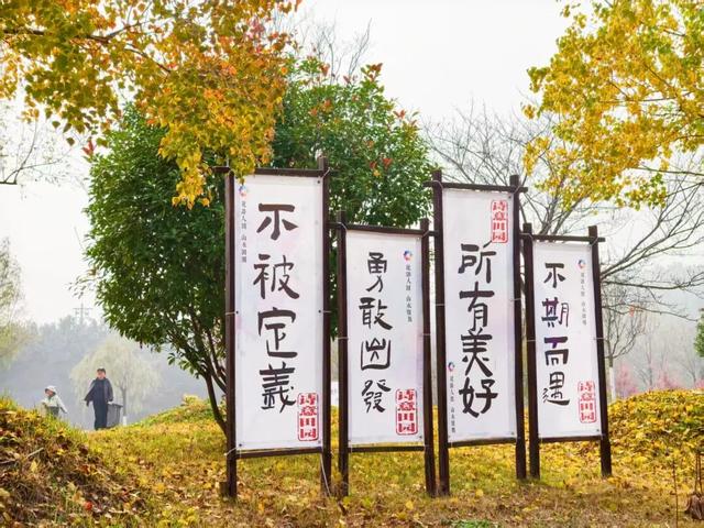 田曦薇、胡一天打卡西海岸！约你来玩！