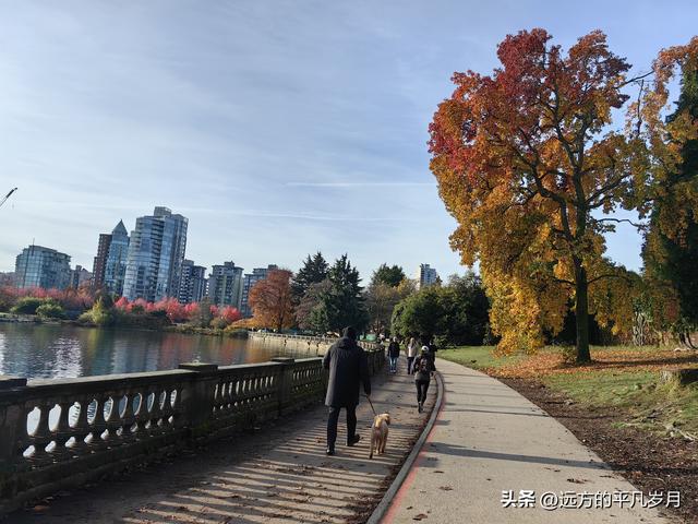 温哥华游记（四）