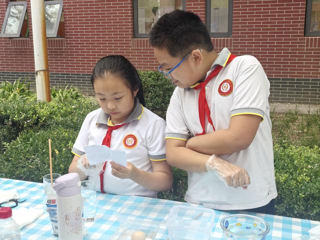 AI赋能、人人参与！北京市2025年北京市中小学科学节（通州场）开幕