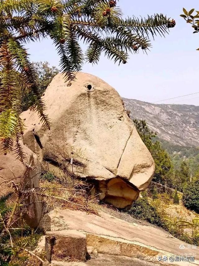 大罗山这条改造过的登山步道你可去过?