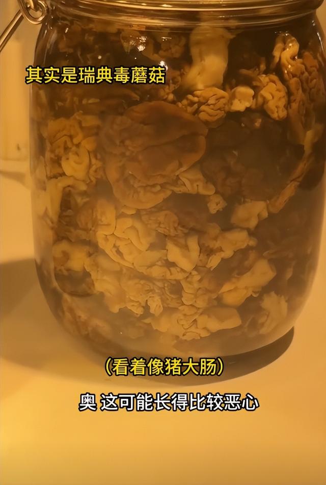 博主在瑞典逛 恶心食物博物馆，燕窝 猪脑就忍了，看到皮蛋绷不住了