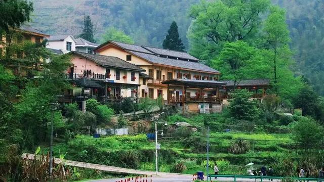 喜讯!明月山旅游区荣获2025年“风景独好”旅游名景区!