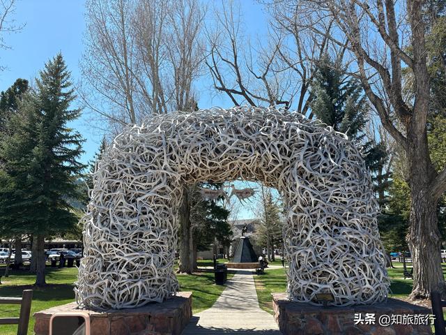 2025环球知旅——美西十三日(黄石公园5.9)