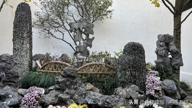 跟随儿媳“云旅游”苏杭