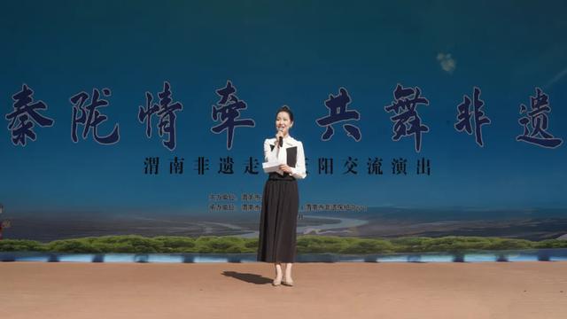 2025年陕西省渭南市文化和旅游（庆阳）推介会成功举办