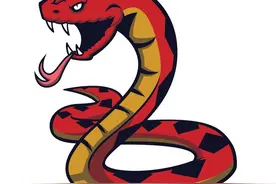 奉劝打蛇人——蛇是有“灵”性的动物图片