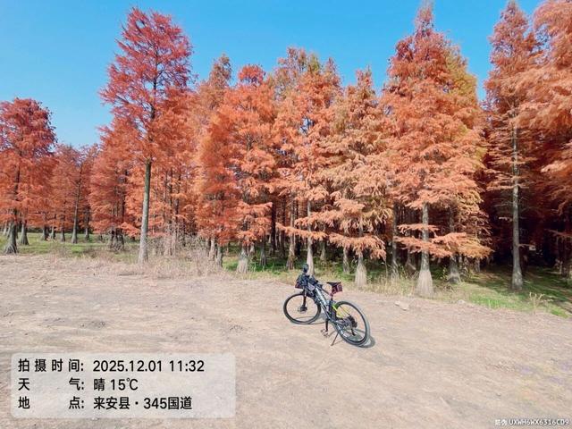 骑游来安半塔釜山水库池杉林生态园攻略