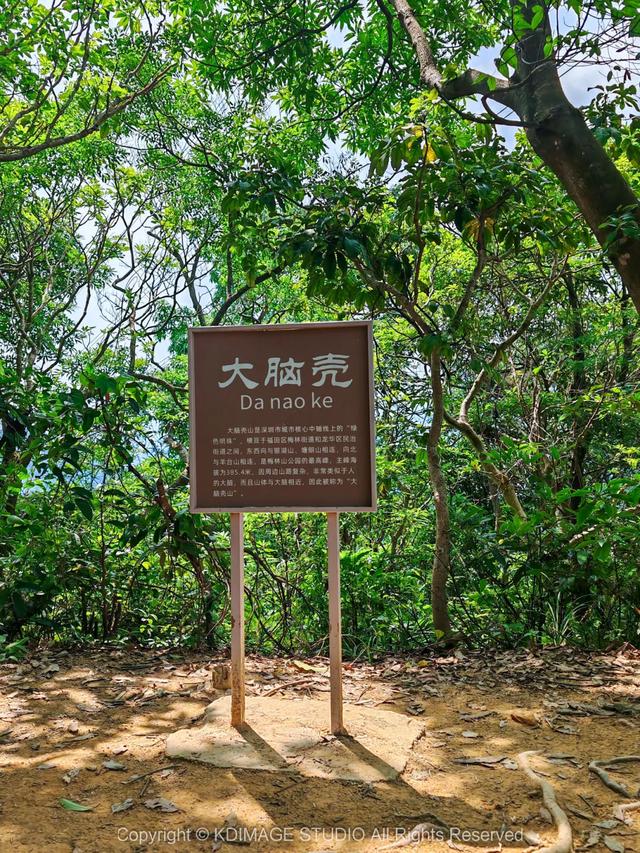 深圳徒步！超适合新手小白的3条郊野径路线，地铁公交直达还免费