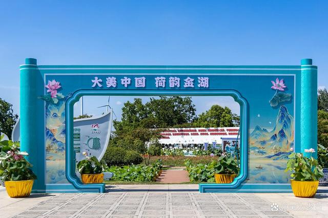 赴一场金湖塔集的夏日之约，邂逅万亩荷花海