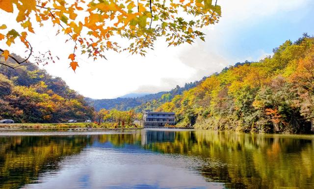 赏秋正当时！自驾来汉中，赴一场秋日视觉盛宴~