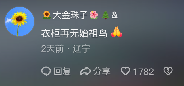 蔡国强烟花秀后续：始祖鸟更多黑料被扒，买走顶级域名却不付钱