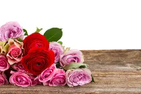 缘分让我遇见你，深情让我想念你，天天都想你，夜夜都念你图片