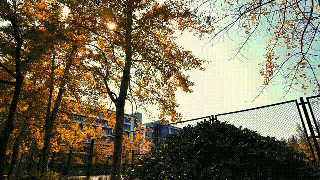 走不出这画了，我已被西海岸的秋景迷倒 🥹