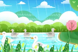 早报推荐丨为什么下雨时，鸭子就在雨中傻站着一动不动？图片