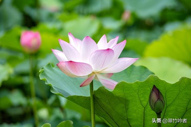 找女朋友前去儋州一趟，打开租车平台，发现租车价格翻了一番。