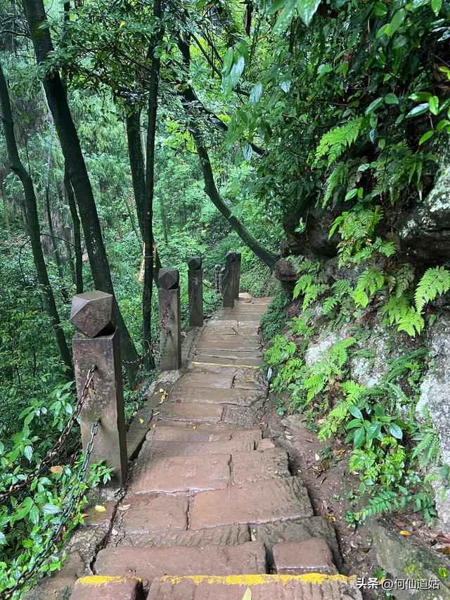 青城山，来过了，说几句