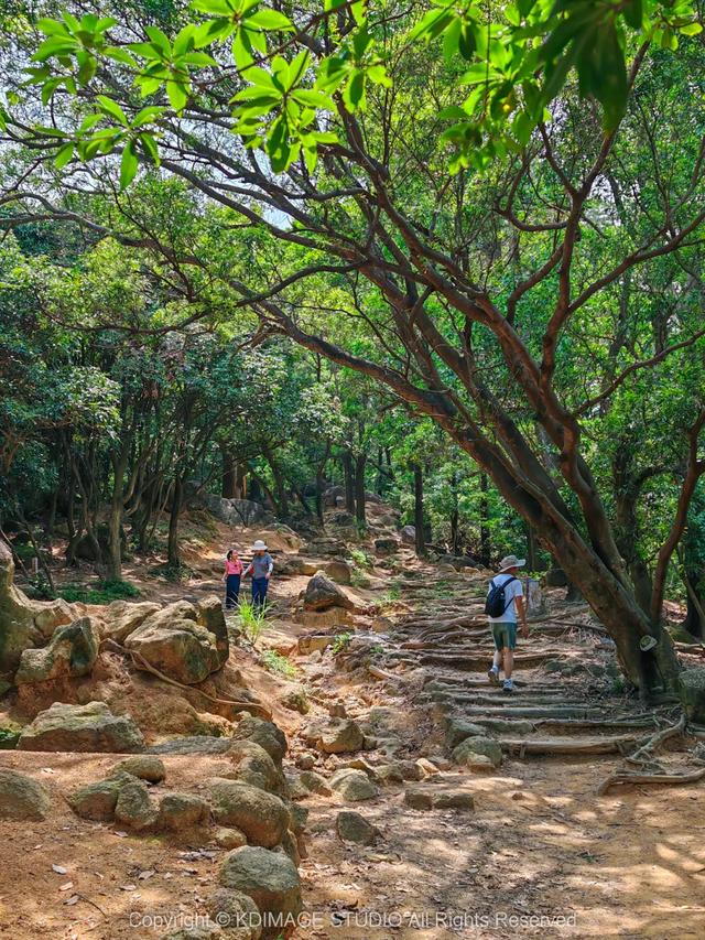 深圳徒步！超适合新手小白的3条郊野径路线，地铁公交直达还免费