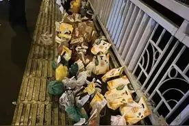 胖猫事件引发品牌应对大考：麦当劳坚守诚信，茶百道华莱士遭质疑图片