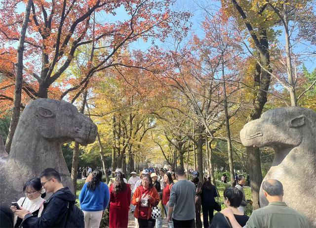 南京明孝陵，它的8个有趣知识，您知道几个？