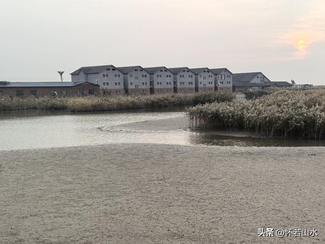 2025辽宁赏秋之旅日记(6)——到辽河口中国最北海岸线看日出 观鸟