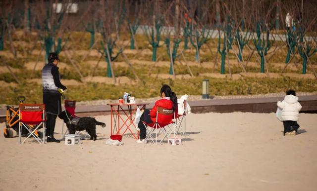 海淀“阿那亚”藏不住了！“白沙滩”成新晋热门打卡地