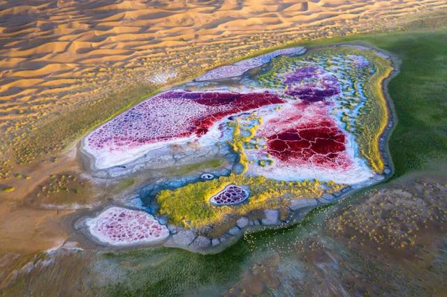 走进魅力北疆 遇见金色阿拉善