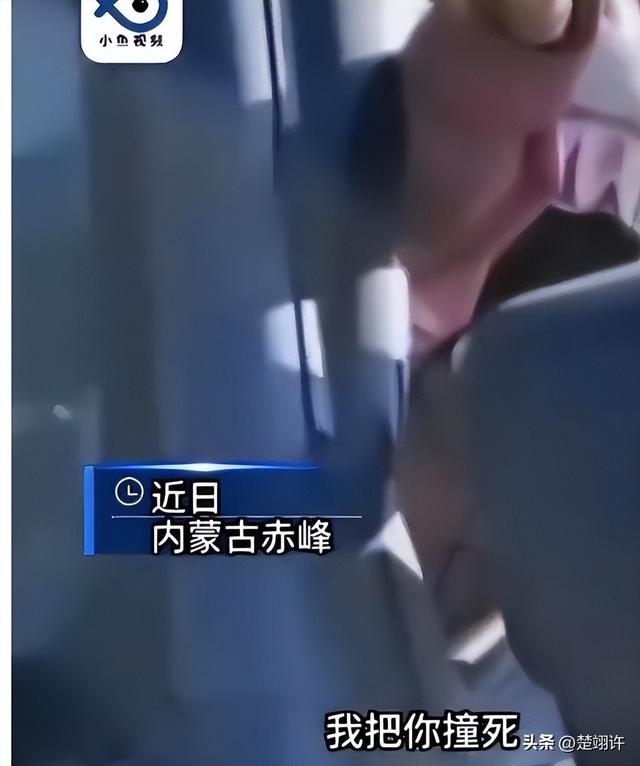 女子开车碾压草场后续：扬言撞死牧民，真实身份被扒，公司被牵连