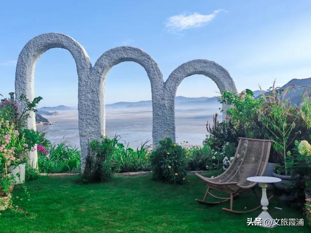 霞浦花沁石,海边莫奈花园的秋冬独属烂漫