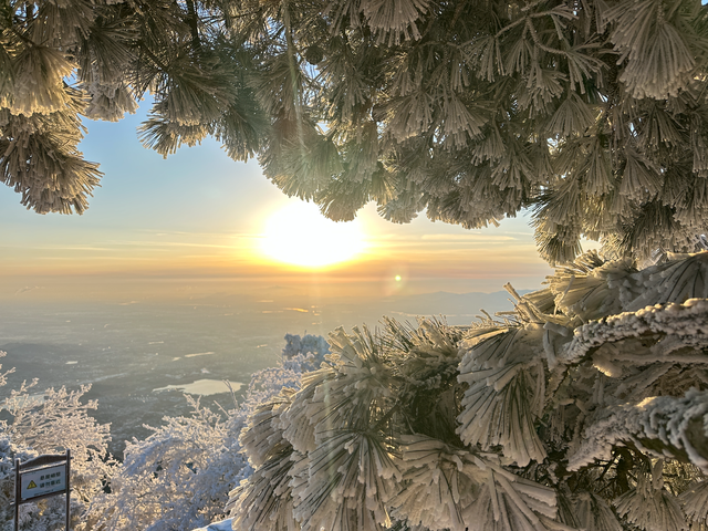 雪后泰山恢复开放 琉璃仙境引客来