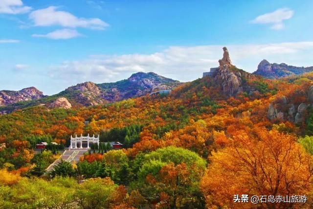 别再问赤山红叶什么时候最红！这趟“山海秋礼”才是真浪漫