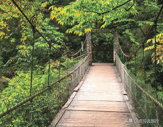 成都大邑爆火彩林，小牛背山、小喀纳斯这里都有，超级惊艳！