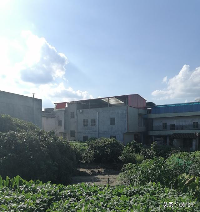 广西南宁市武鸣区被取消的黎圩，时至今日连一条街都不剩