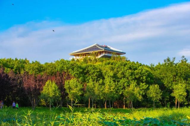 丰台一日漫游指南 | 玩转南城森系、摩登未来感与夜幻境！
