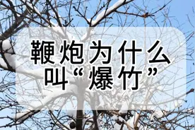 鞭炮为什么叫“爆竹”？是因为爆的是竹子吗？图片