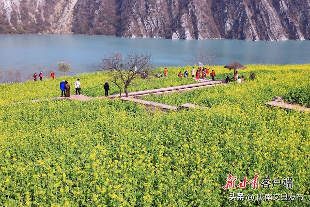 陇上江南冬日花韵
