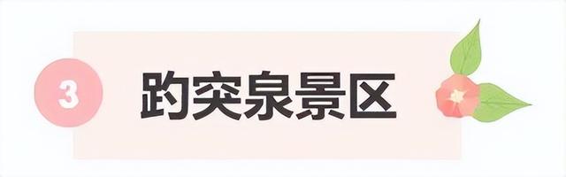 济南第一波蜡梅开了！这些赏梅地，赶紧冲！