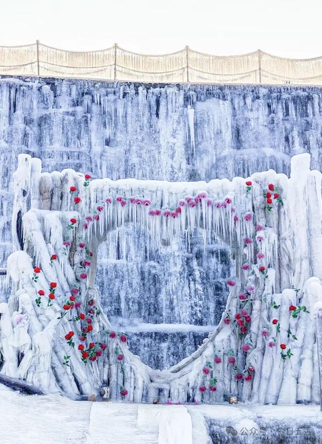 福利来啦！元旦假期就来五莲这里！