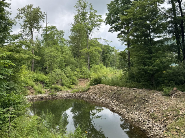 打卡G334敦化段红色地标：寒葱岭密营，揭开东北最硬核的抗日往事