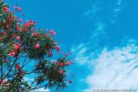 女人这样做会越过越好（附自律清单）图片